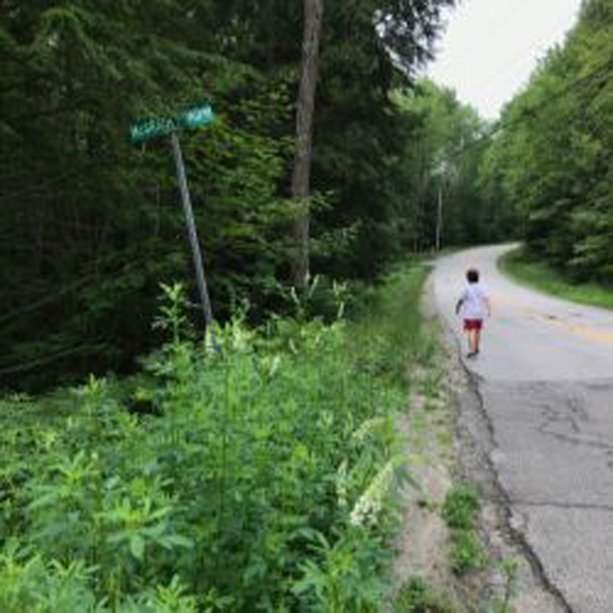 Boy walking down the side of a secluded road surrounded by green trees