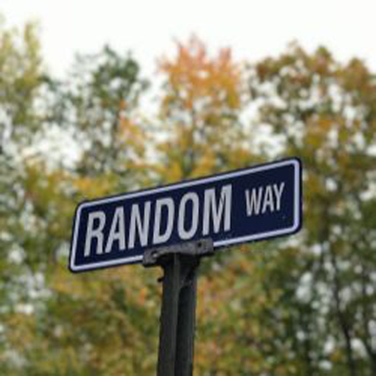 Random Way street sign